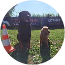 Alexpol k9 Alexpol k9